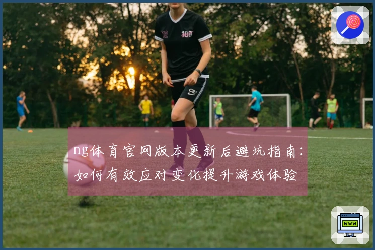 ng体育官网版本更新后避坑指南：如何有效应对变化提升游戏体验