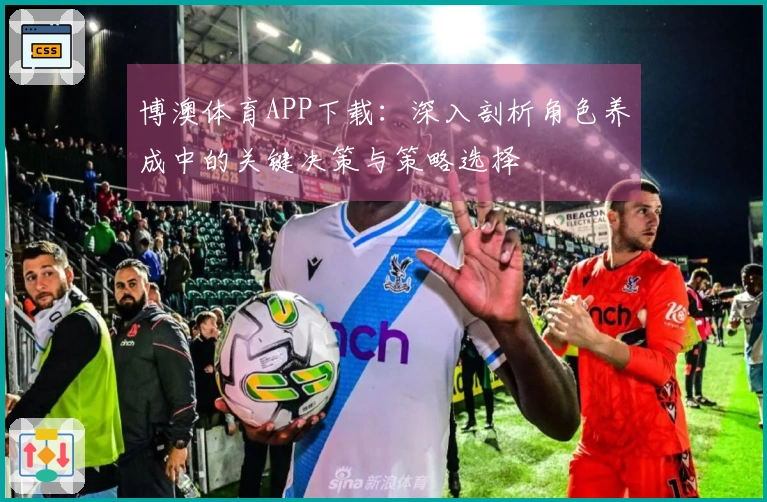 博澳体育APP下载：深入剖析角色养成中的关键决策与策略选择