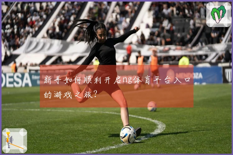新手如何顺利开启ng体育平台入口的游戏之旅？